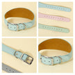 Brett hundhalsband