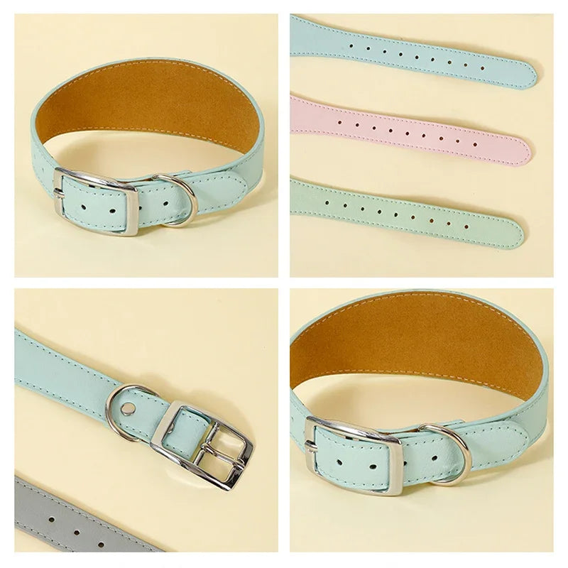 Brett hundhalsband