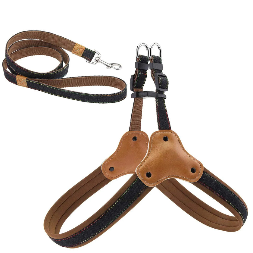 Hundsele i jeanstyg & koppel