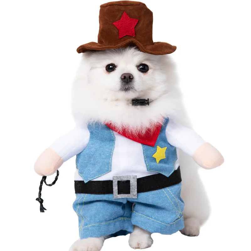 Halloween kostym för hund