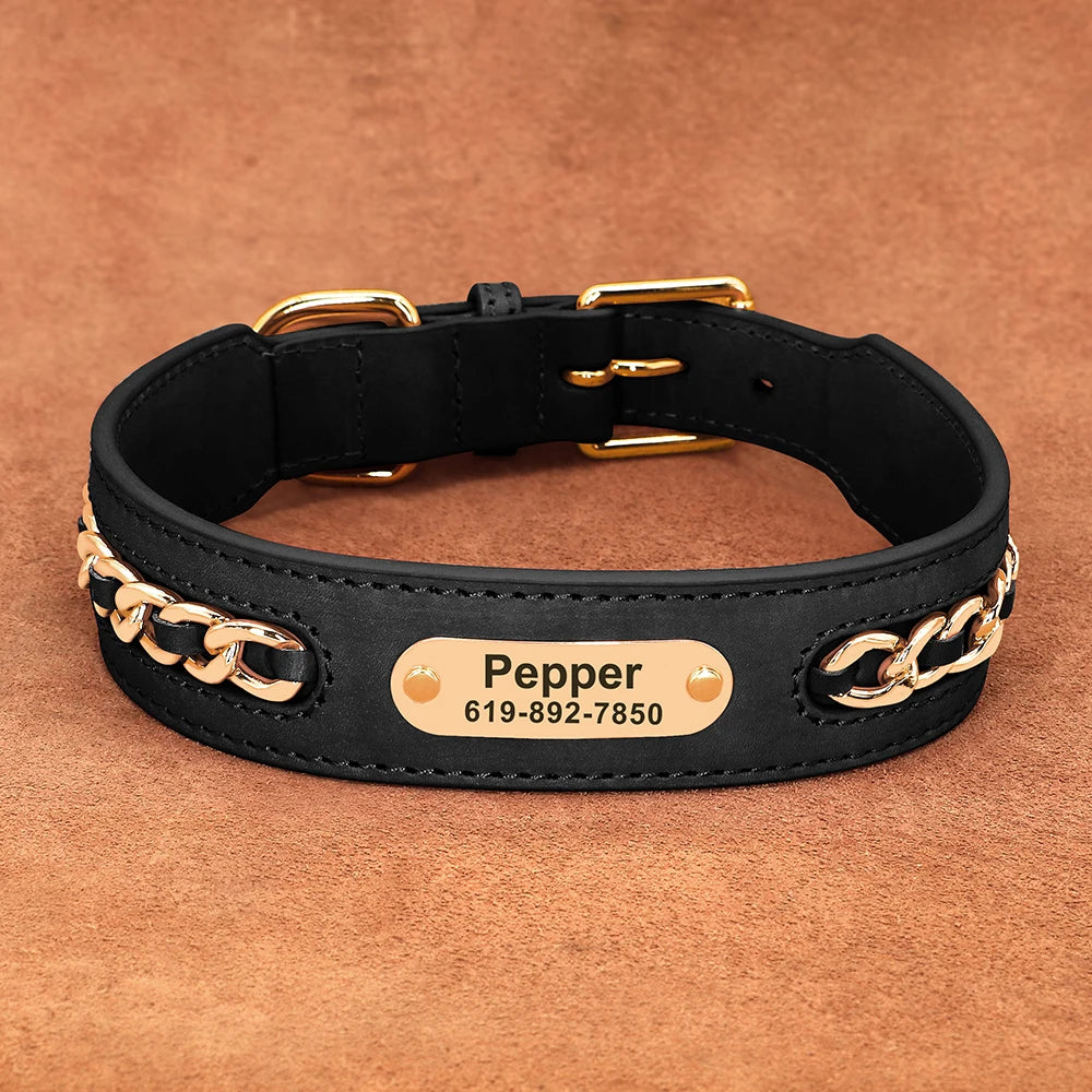 Hundhalsband med kedja