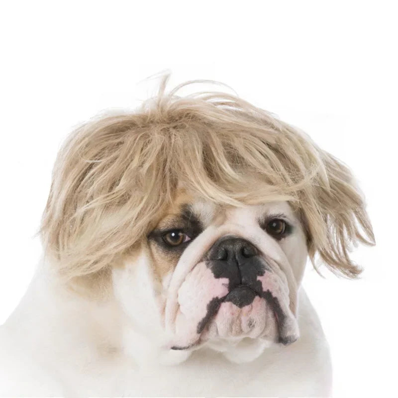 Peruk för hund