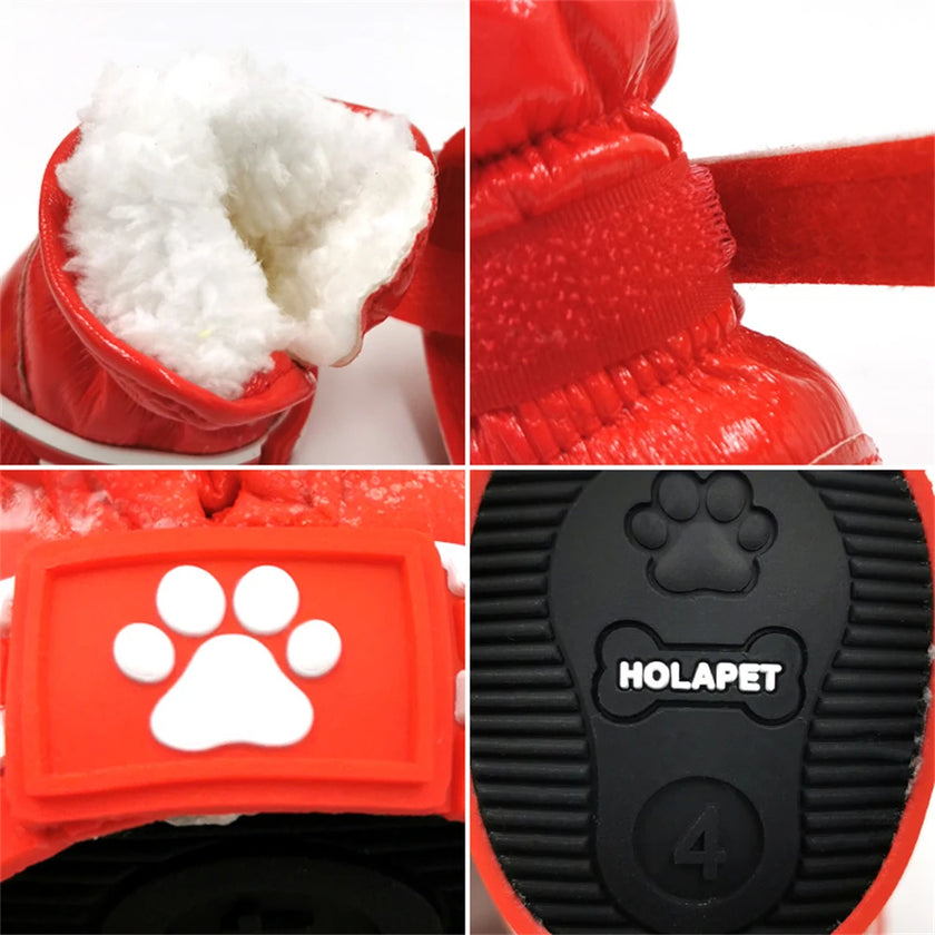 Snowboots för hund