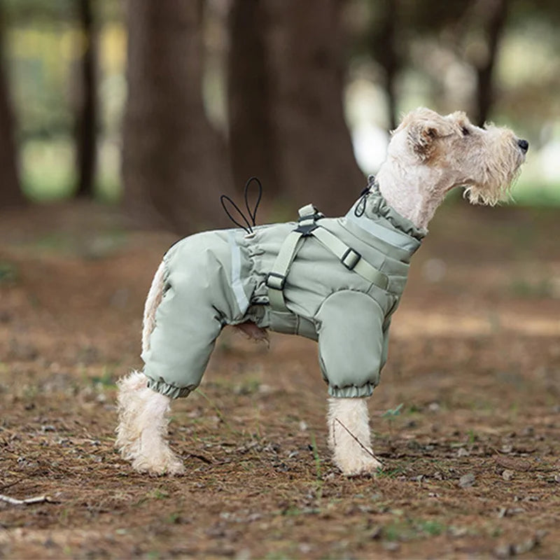 Overall med sele för hund