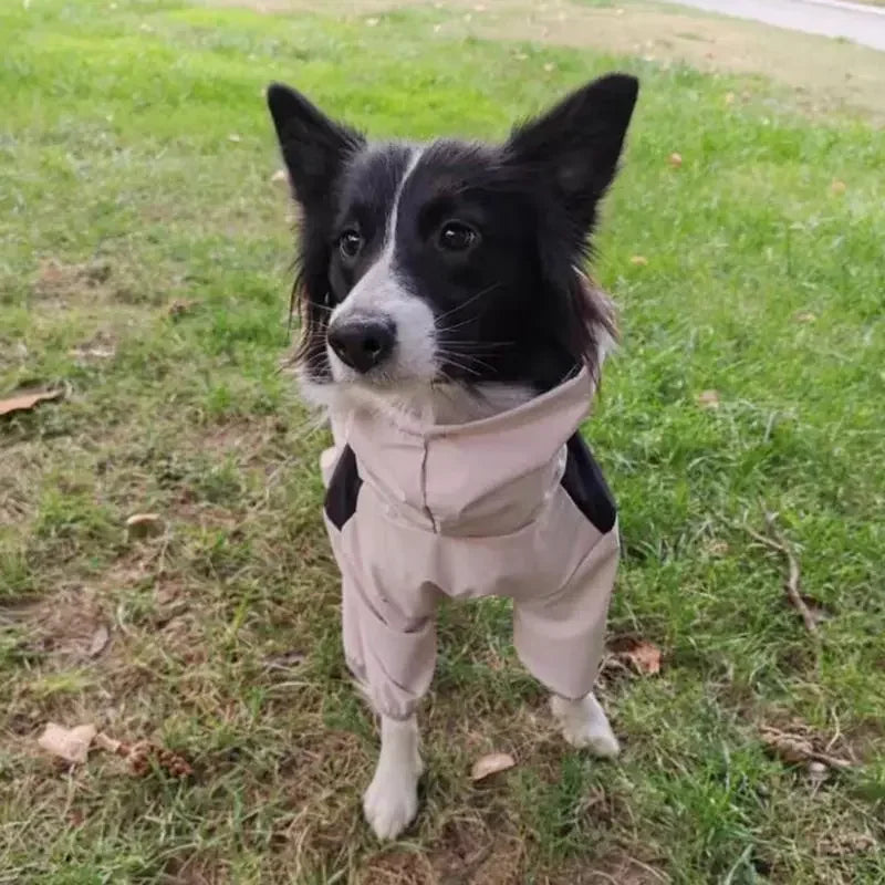 Vattentät overall för hund