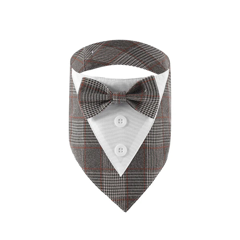 Fluga på krage för hund