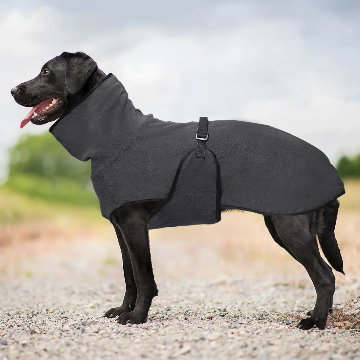 Hundtäcke i fleece