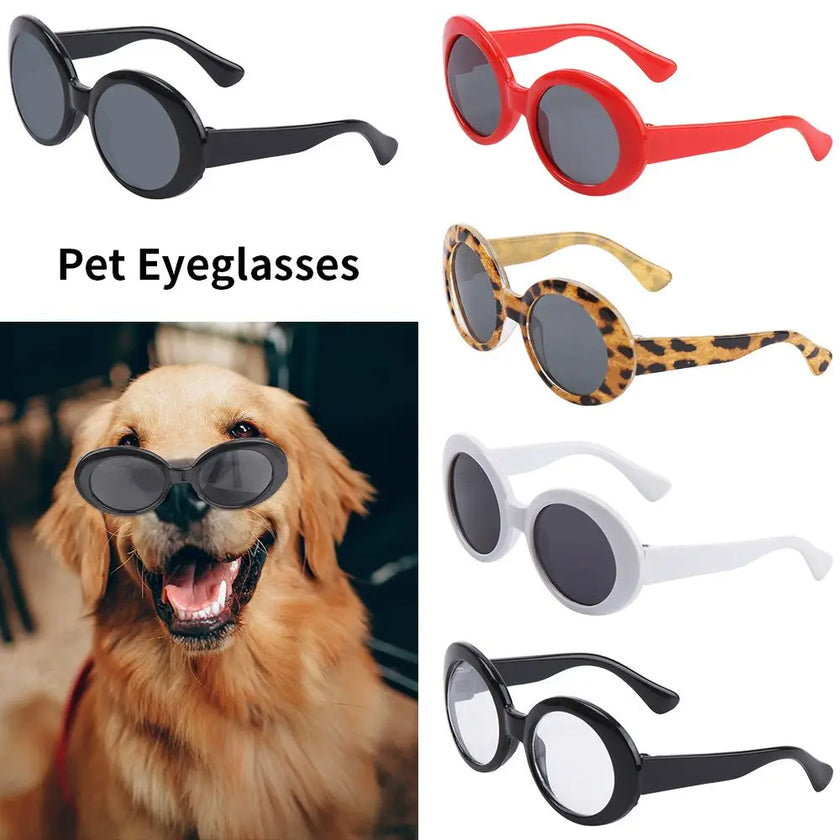Solglasögon för hund