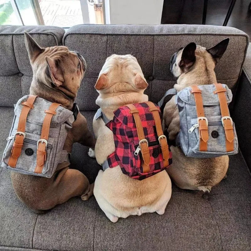 Ryggsäck för hund