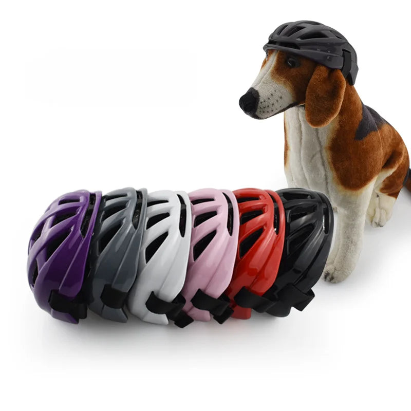 Hjälm för hund