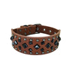 Hundhalsband med nitar