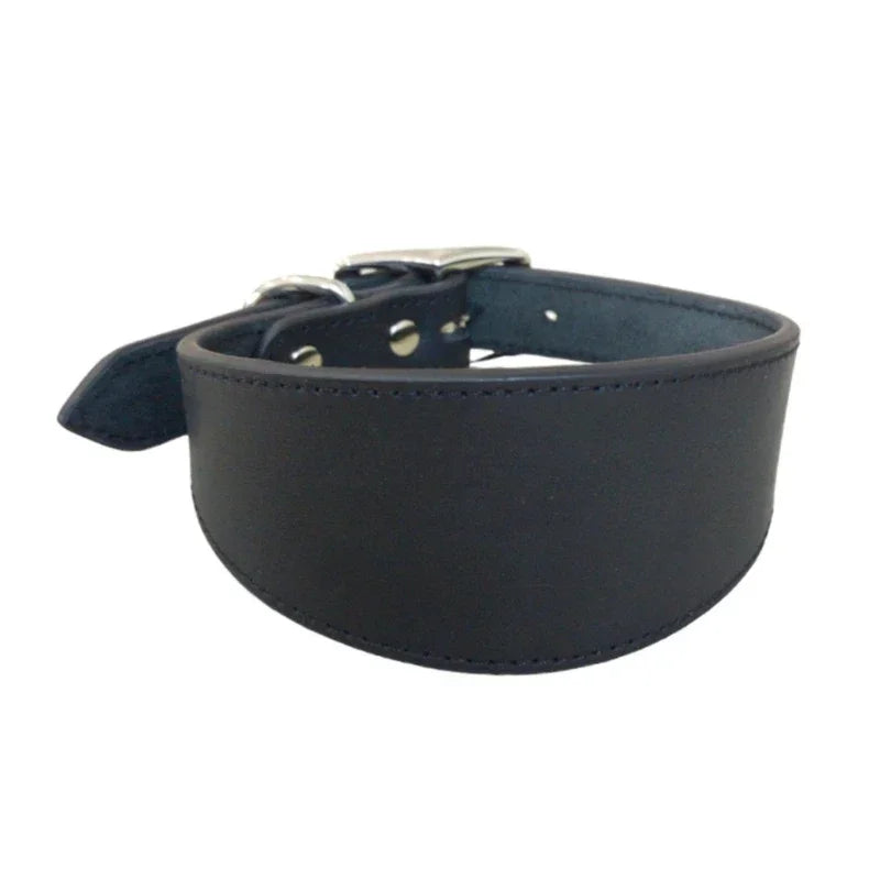 Brett hundhalsband