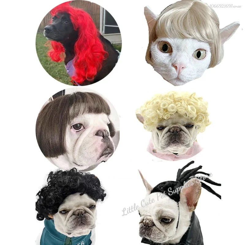 Peruk för hund