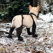 Regnskydd | Överdragsbyxor | Skor för hund