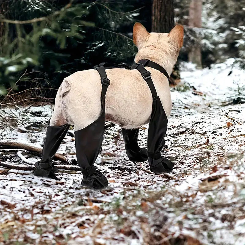 Regnskydd | Överdragsbyxor | Skor för hund