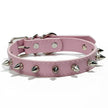 Hundhalsband med spikes