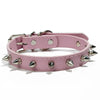 Hundhalsband med spikes