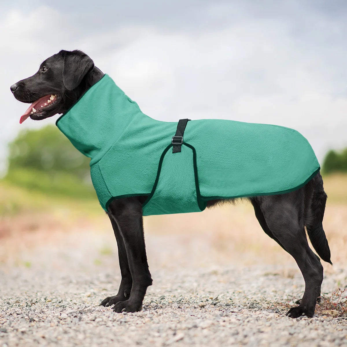 Hundtäcke i fleece