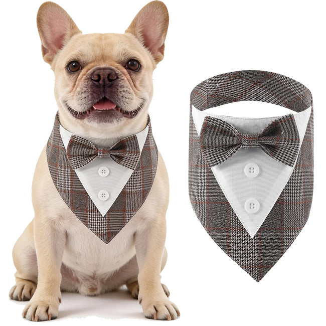 Fluga på krage för hund