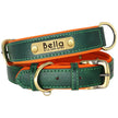Hundhalsband & koppel