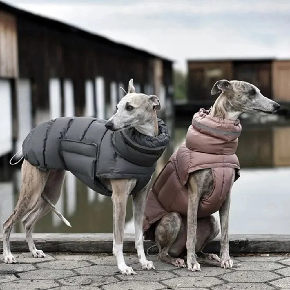 Hundjacka
