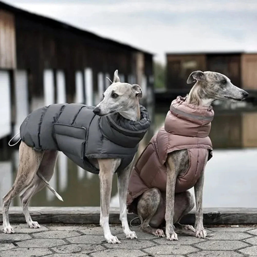 Hundjacka