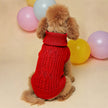 Polotröja för hund