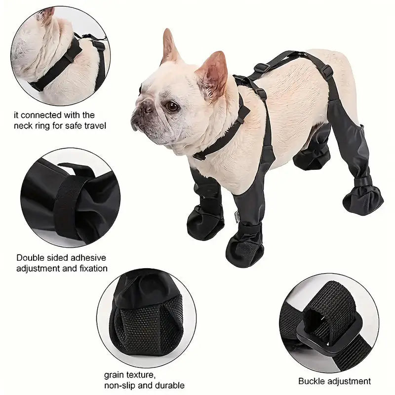 Regnskydd | Överdragsbyxor | Skor för hund