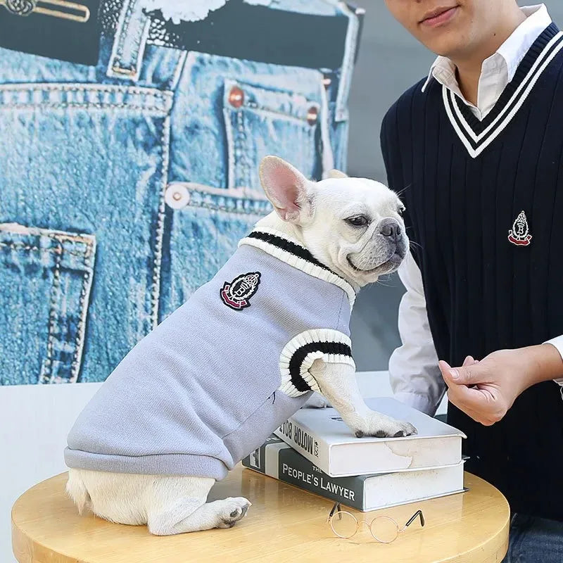 Collegetröja för hund