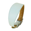 Brett hundhalsband