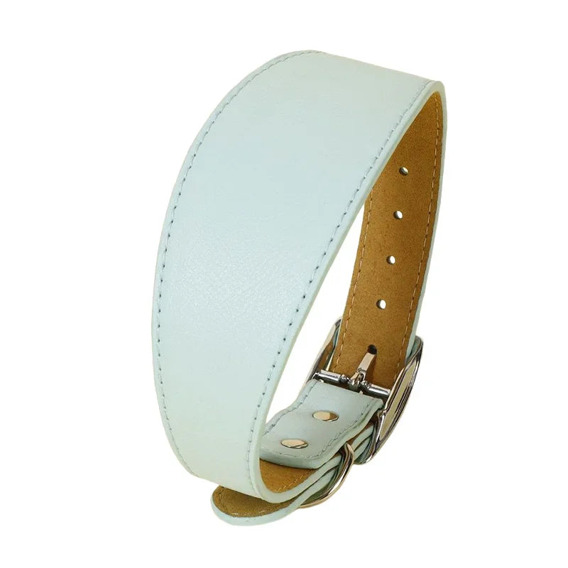 Brett hundhalsband