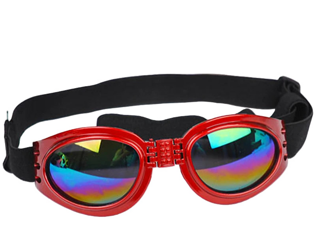 Goggles för hund