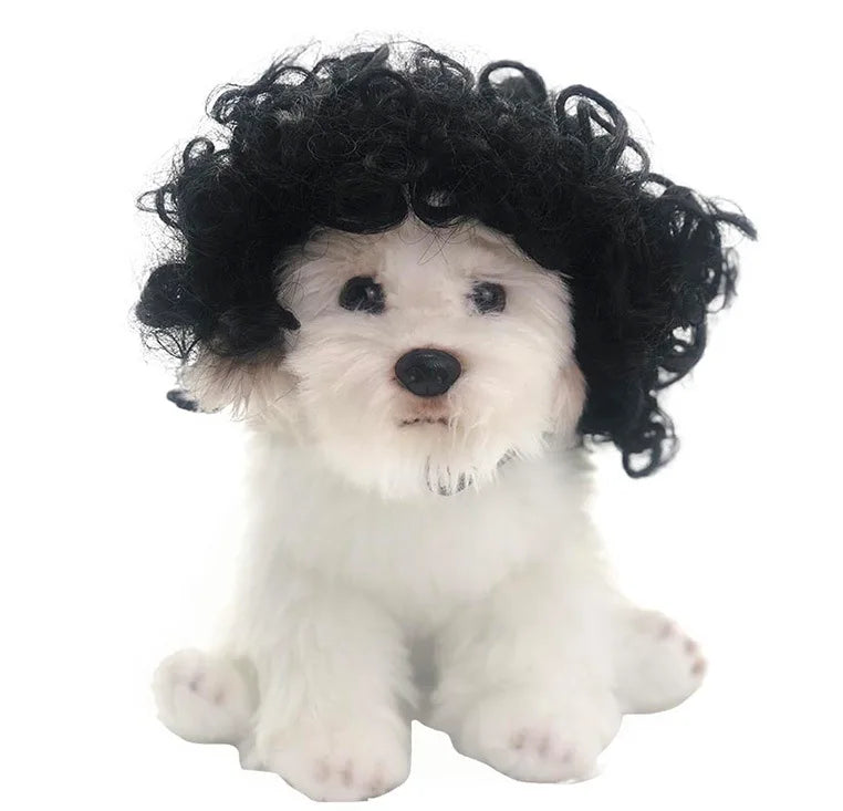 Peruk för hund