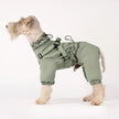 Overall med sele för hund