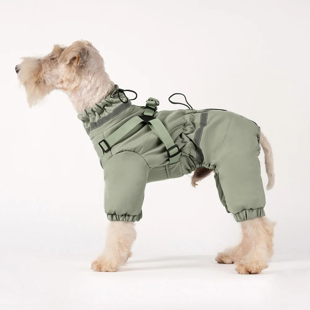 Overall med sele för hund