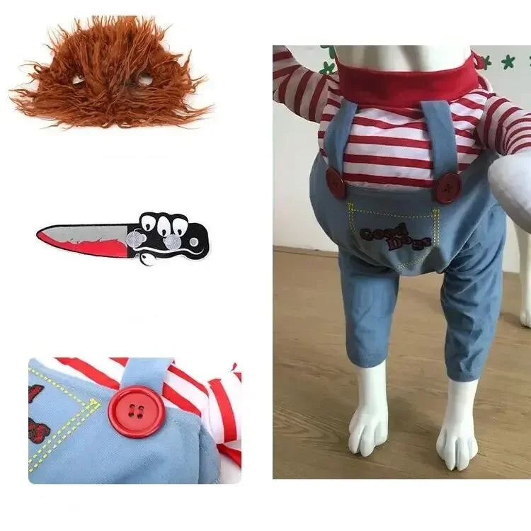 Halloween kostym för hund