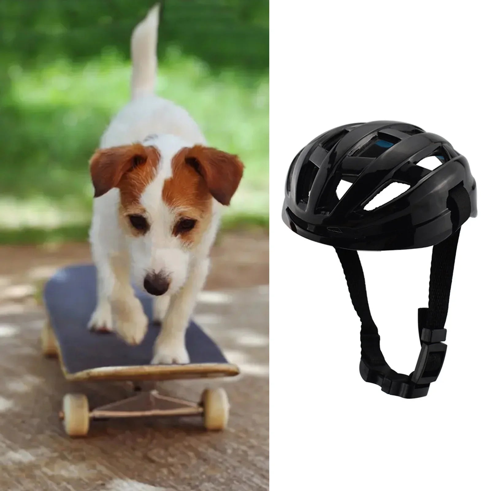 Hjälm för hund