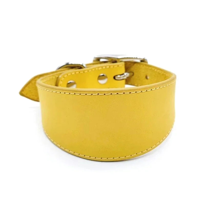 Brett hundhalsband