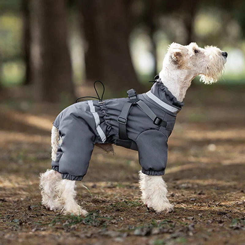 Overall med sele för hund