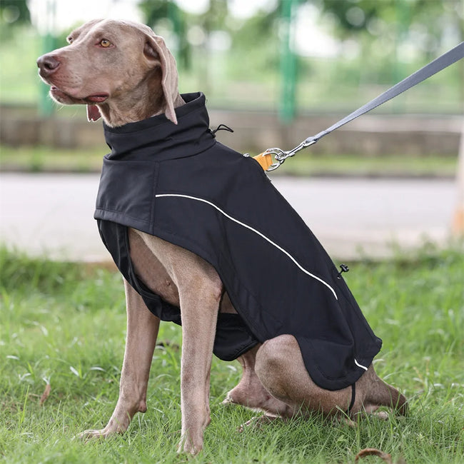 Vattentät hundjacka