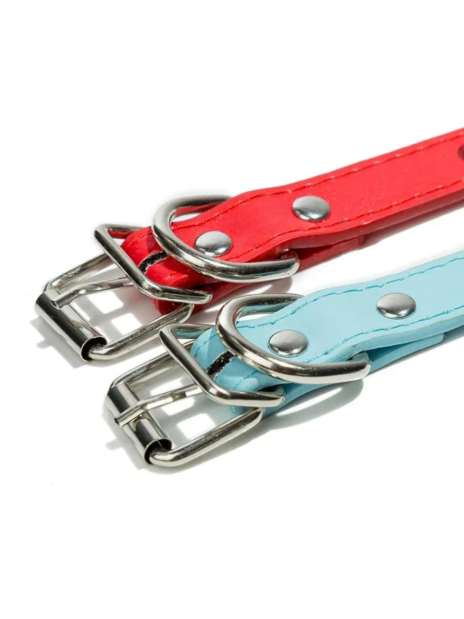 Hundhalsband med spikes