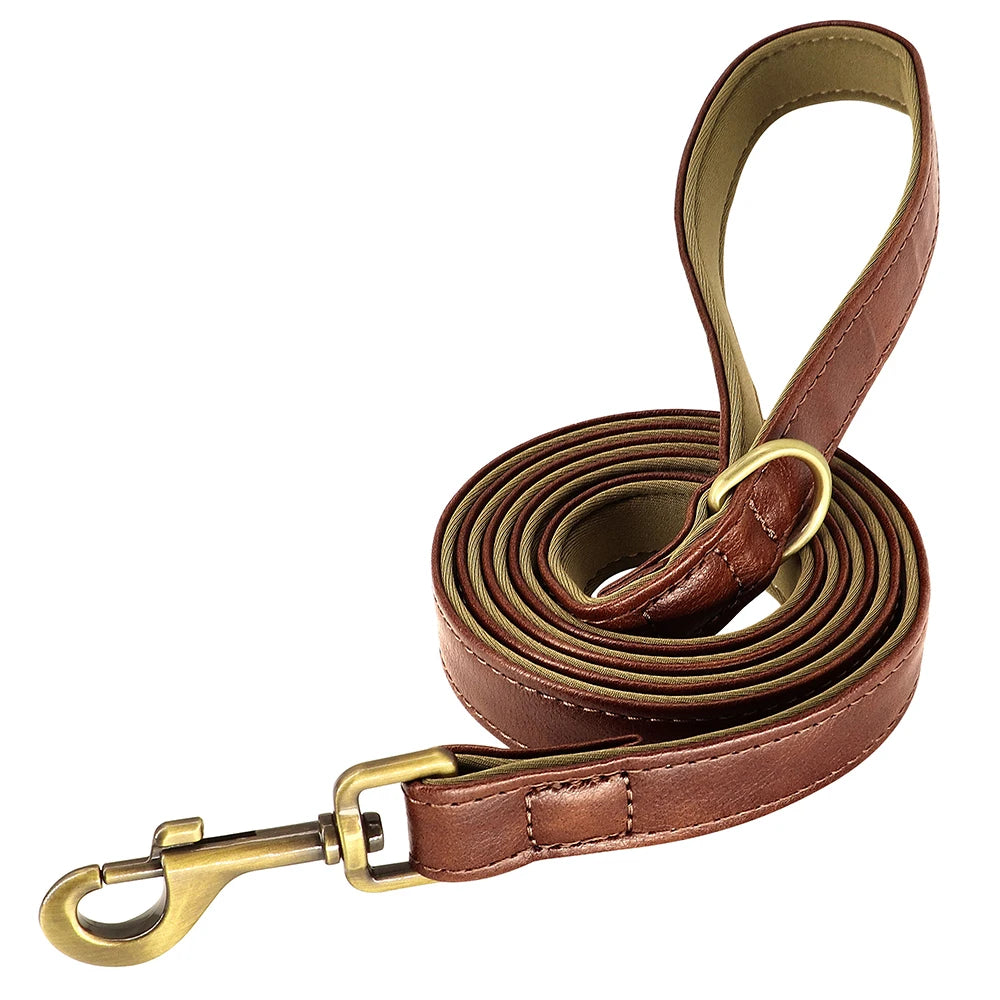 Hundhalsband & koppel