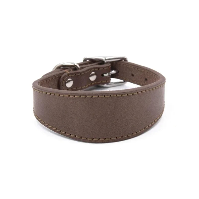 Brett hundhalsband