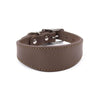 Brett hundhalsband
