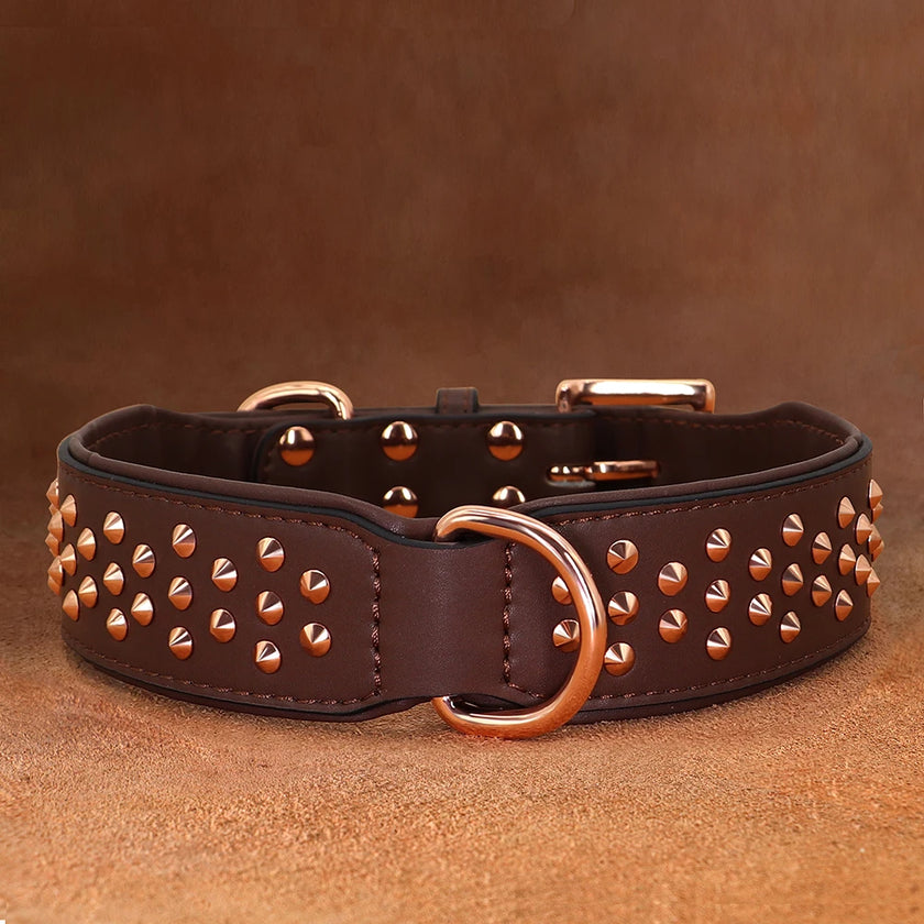 Hundhalsband med nitar