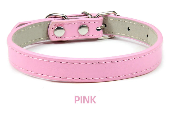 Hundhalsband