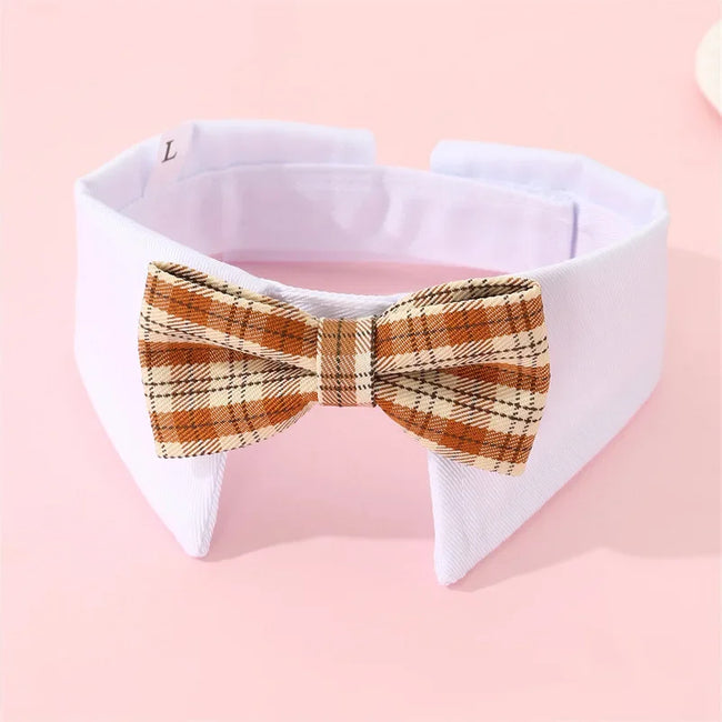 Fluga på krage för hund