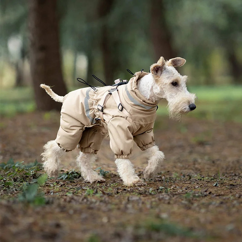 Overall med sele för hund