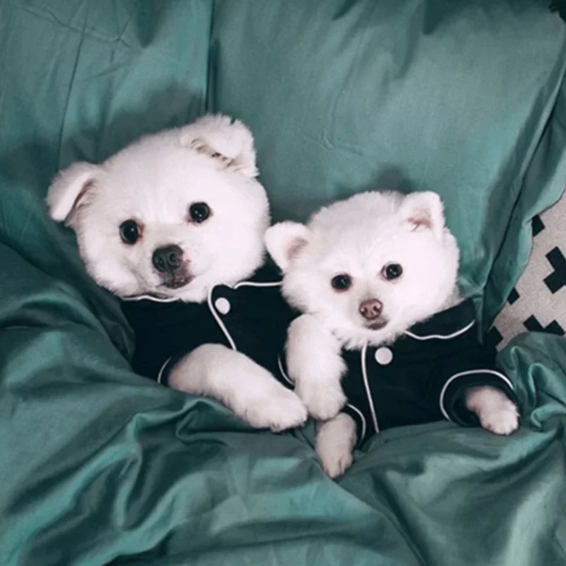 Pyjamasskjorta för hund