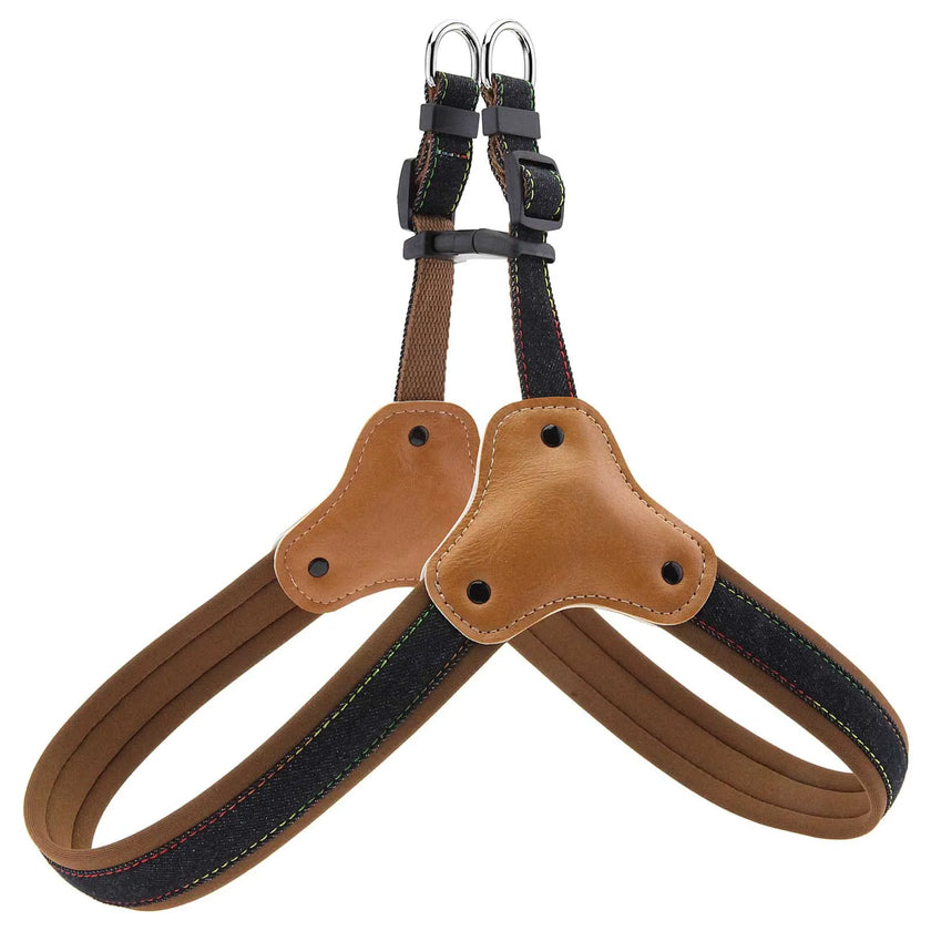Hundsele i jeanstyg & koppel